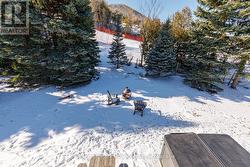 Private back yard and ski hills - 