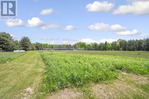 3221 Regional Road 20 Road, Clarington, ON - Outdoor With View