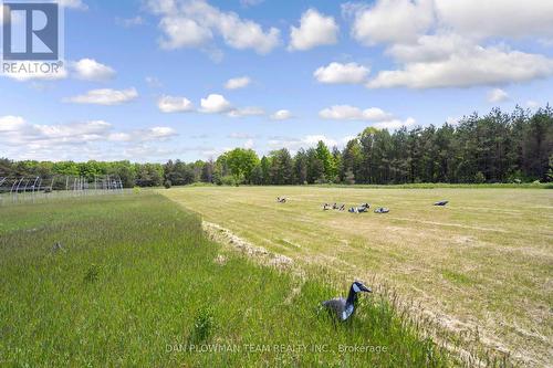 3221 Regional Road 20 Road, Clarington, ON - Outdoor With View
