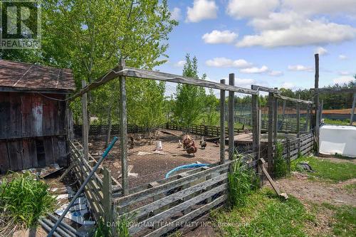 3221 Regional Road 20 Road, Clarington, ON - Outdoor