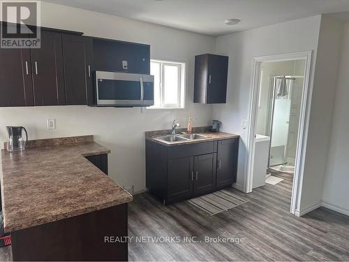 163 Elm Street N, Timmins (Tne - Central), ON - Indoor Photo Showing Kitchen With Double Sink