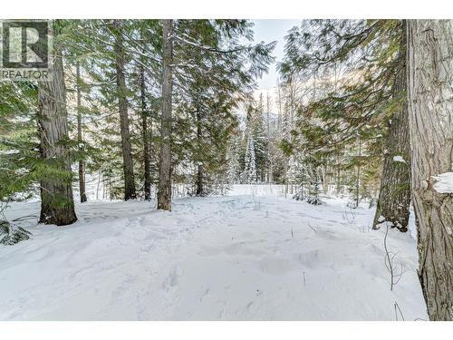 4546 Timberline Crescent, Fernie, BC - Outdoor