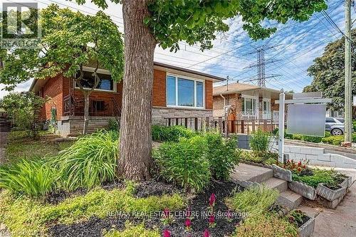 49 Selkirk Avenue, Hamilton, ON - Outdoor