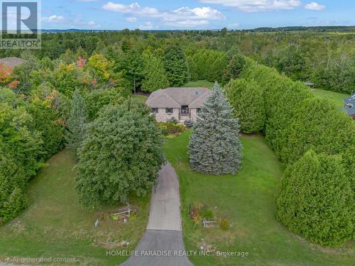 19 Mcconachie Crescent, Caledon, ON - Outdoor With View