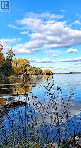 Love it here! - 168 Lakebreeze Road, Kawartha Lakes (Fenelon), ON - Outdoor With Body Of Water With View
