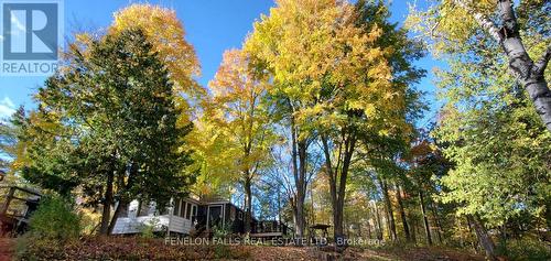 under a canopy of trees - 168 Lakebreeze Road, Kawartha Lakes (Fenelon), ON - Outdoor