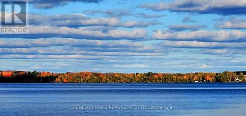 amazing views - 168 Lakebreeze Road, Kawartha Lakes (Fenelon), ON - Outdoor With Body Of Water With View