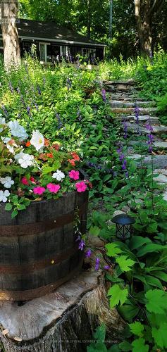 168 Lakebreeze Road, Kawartha Lakes (Fenelon), ON - Outdoor