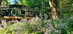 Wildflowers - 