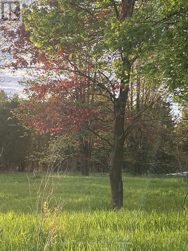 Lot Sapphire Drive, South Glengarry, ON 