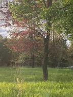 LOT SAPPHIRE DRIVE  South Glengarry, ON K6H 7J1