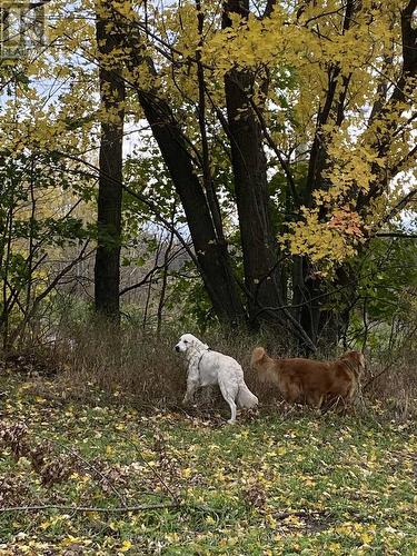 Lot Sapphire Drive, South Glengarry, ON 