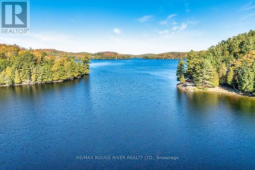 0 Thompson Portage Road, Lake Of Bays, ON 