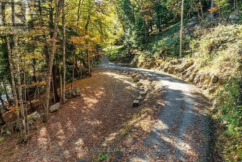 0 Thompson Portage Road, Lake Of Bays, ON 