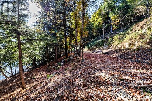 0 Thompson Portage Road, Lake Of Bays, ON 