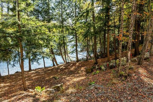 0 Thompson Portage Road, Lake Of Bays, ON 