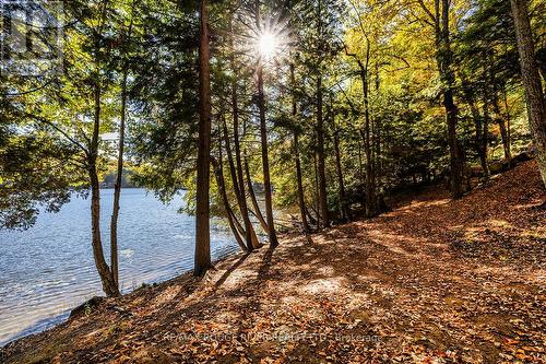 0 Thompson Portage Road, Lake Of Bays, ON 