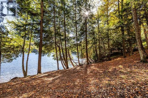 0 Thompson Portage Road, Lake Of Bays, ON 