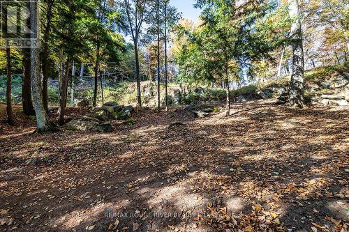 0 Thompson Portage Road, Lake Of Bays, ON 
