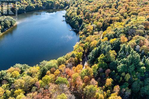 0 Thompson Portage Road, Lake Of Bays, ON 