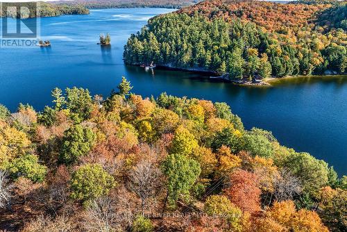 0 Thompson Portage Road, Lake Of Bays, ON 