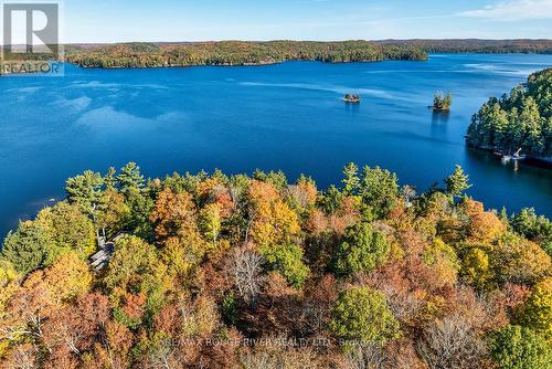 0 Thompson Portage Road, Lake Of Bays, ON 