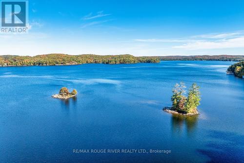 0 Thompson Portage Road, Lake Of Bays, ON 