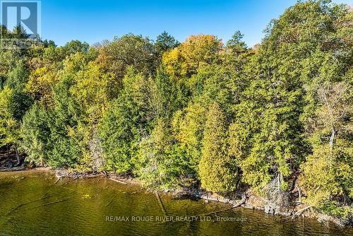 0 Thompson Portage Road, Lake Of Bays, ON 