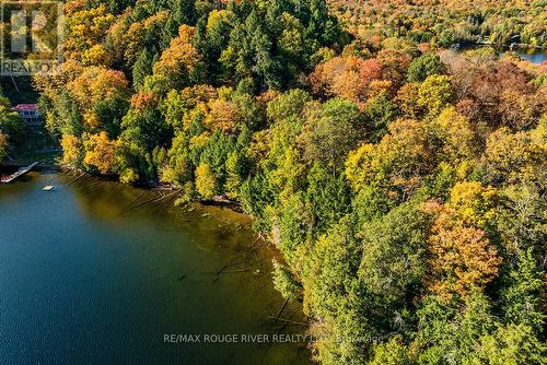 0 Thompson Portage Road, Lake Of Bays, ON 