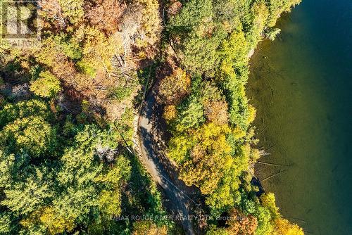 0 Thompson Portage Road, Lake Of Bays, ON 