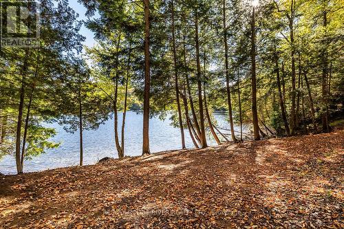 0 Thompson Portage Road, Lake Of Bays, ON 