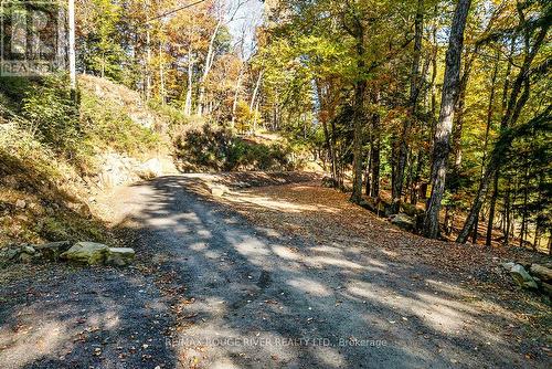 0 Thompson Portage Road, Lake Of Bays, ON 