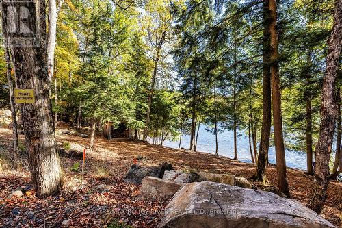 0 Thompson Portage Road, Lake Of Bays, ON 