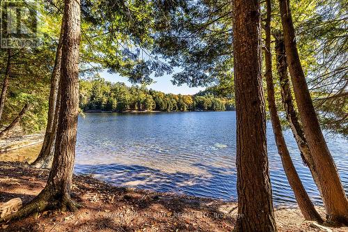 0 Thompson Portage Road, Lake Of Bays, ON 
