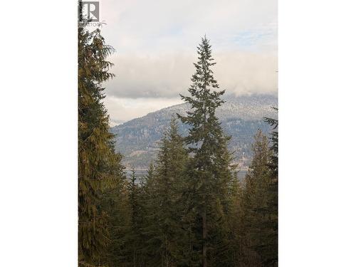3970 Talin Place, Eagle Bay, BC - Outdoor With View