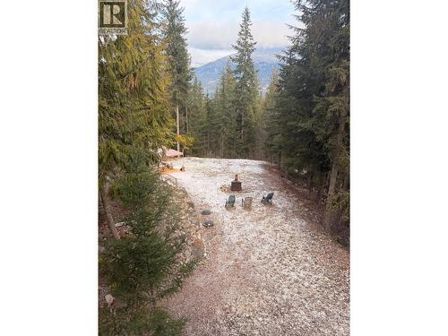 3970 Talin Place, Eagle Bay, BC - Outdoor With View