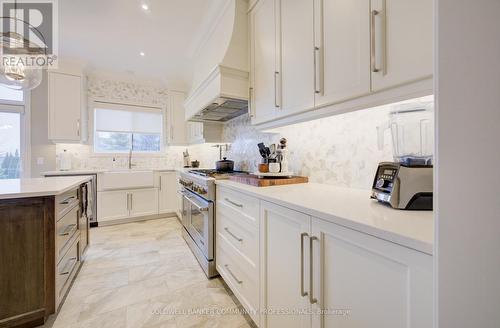 24 Festival Way, Hamilton, ON - Indoor Photo Showing Kitchen With Upgraded Kitchen