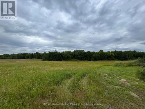 2245 Ahmic Lake Road, Magnetawan, ON - Outdoor With View