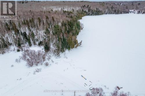 2245 Ahmic Lake Road, Magnetawan, ON - Outdoor With View
