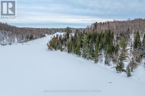 2245 Ahmic Lake Road, Magnetawan, ON - Outdoor With View