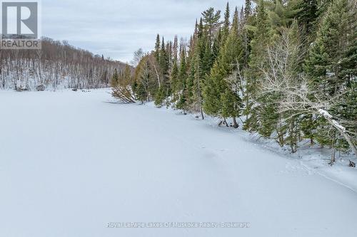 2245 Ahmic Lake Road, Magnetawan, ON - Outdoor With View