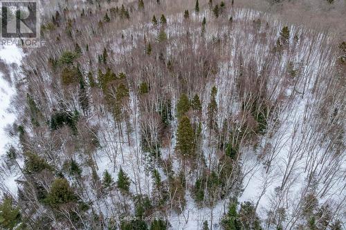 2245 Ahmic Lake Road, Magnetawan, ON - Outdoor