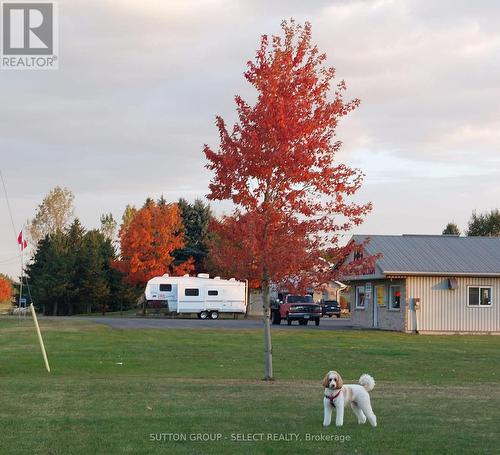 77242 London Road, Huron East (Tuckersmith), ON - Outdoor