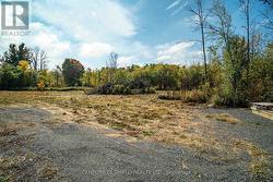 gravel laneway & mostly cleared lot - 