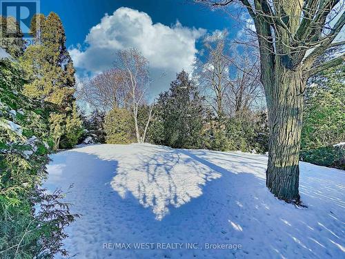 20 Foxwood Grove, Toronto, ON - Outdoor With View