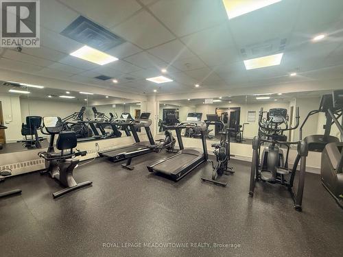 704 - 1338 York Mills Road, Toronto, ON - Indoor Photo Showing Gym Room