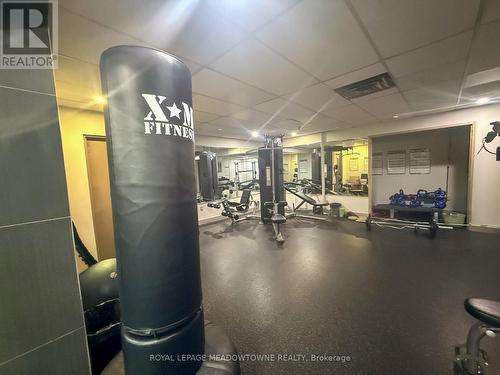 704 - 1338 York Mills Road, Toronto, ON - Indoor Photo Showing Gym Room