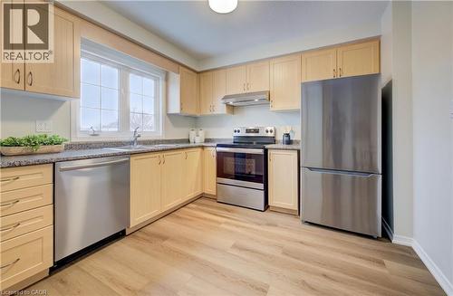 151 Highland Crescent, Kitchener, ON - Indoor Photo Showing Kitchen