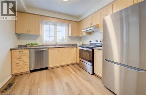 151 Highland Crescent, Kitchener, ON - Indoor Photo Showing Kitchen With Double Sink