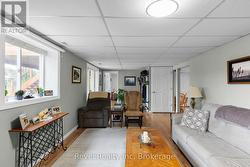 Lower level living room - 